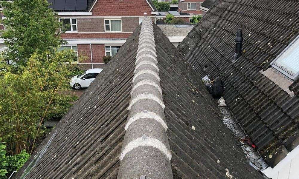 Repareren van nokvorsten in Zundert
