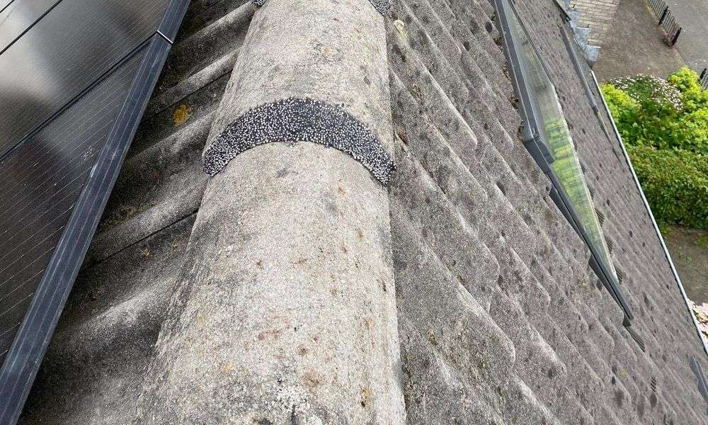 Vervangen van nokvorsten Zundert Nokvorsten zijn opnieuw vastgezet